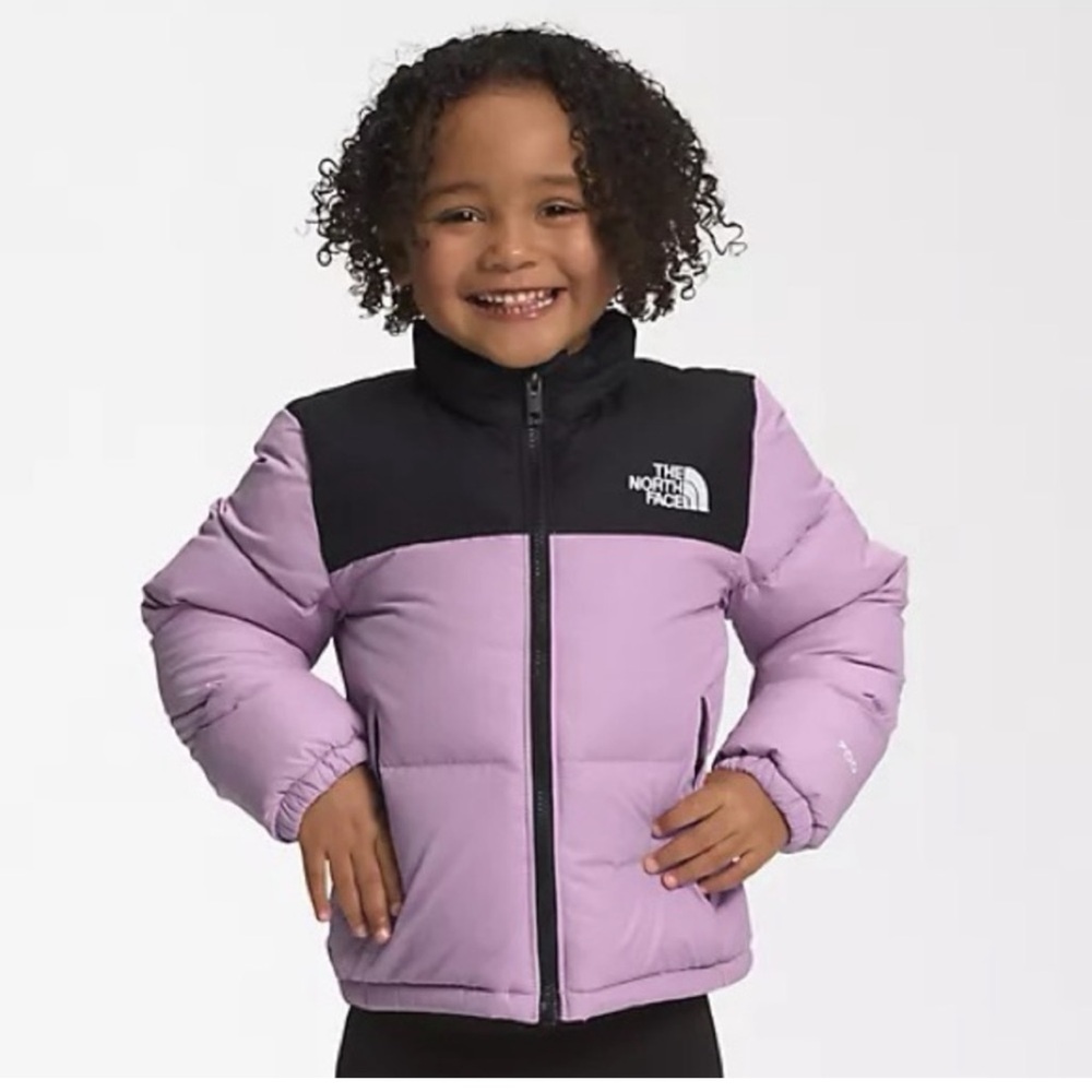 The North Face Lilac and Black Jacket